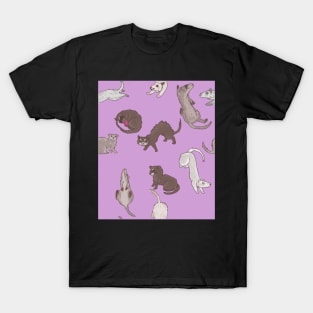 A Mischief of Ferrets Pattern T-Shirt